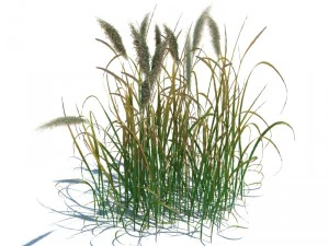 nature collection v2 3D Model