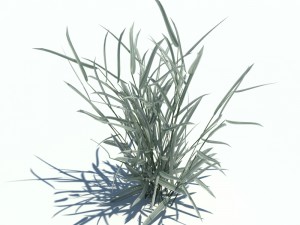 nature collection v2 3D Model