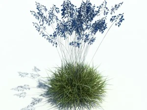 nature collection v2 3D Model
