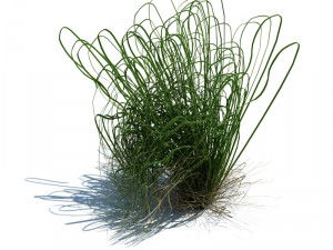 nature collection v2 3D Model