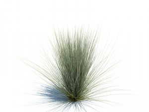 nature collection v2 3D Model