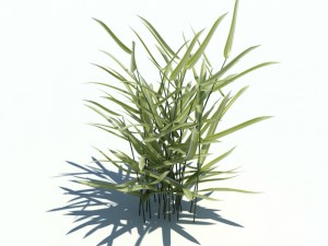 nature collection v2 3D Model