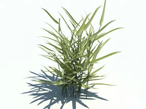 nature collection v2 3D Model