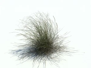 nature collection v2 3D Model