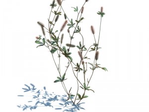 nature collection v2 3D Model