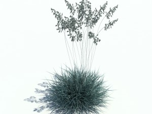 nature collection v2 3D Model