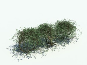 nature collection v2 3D Model