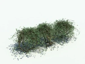 nature collection v2 3D Model