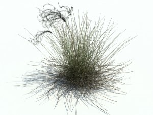 nature collection v2 3D Model