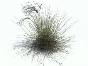 nature collection v2 3D Model