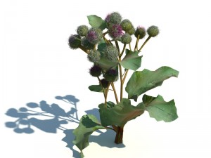 nature collection v2 3D Model