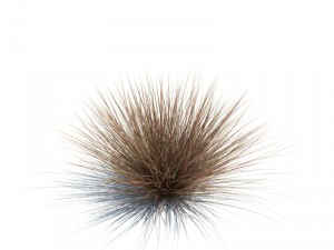 nature collection v2 3D Model