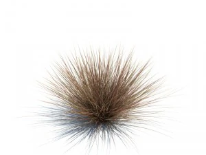 nature collection v2 3D Model