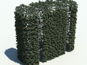 nature collection v2 3D Model