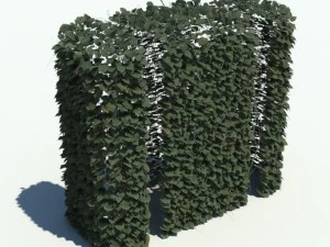 nature collection v2 3D Model