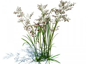 nature collection v2 3D Model