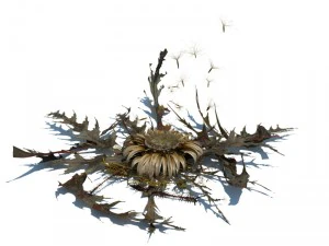 nature collection v2 3D Model