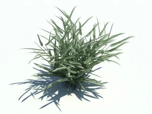 nature collection v2 3D Model
