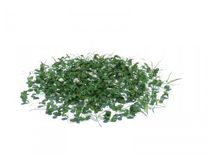 nature collection v2 3D Model