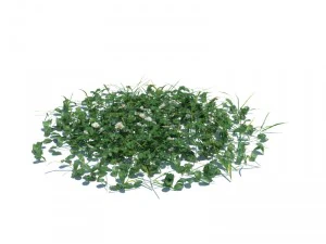 nature collection v2 3D Model