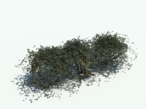 nature collection v2 3D Model