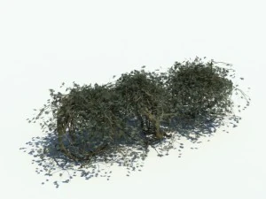 nature collection v2 3D Model