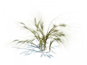 nature collection v2 3D Model