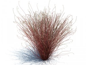 nature collection v2 3D Model