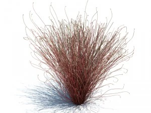 nature collection v2 3D Model