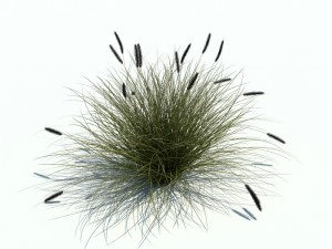 nature collection v2 3D Model