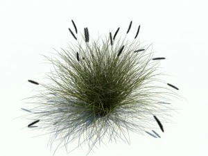 nature collection v2 3D Model