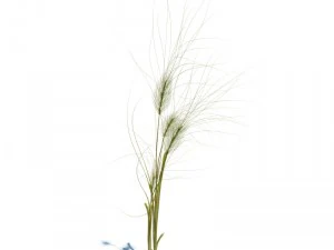 nature collection v2 3D Model