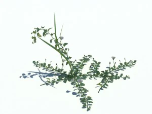 nature collection v2 3D Model