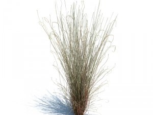nature collection v2 3D Model