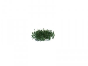 nature collection v2 3D Model