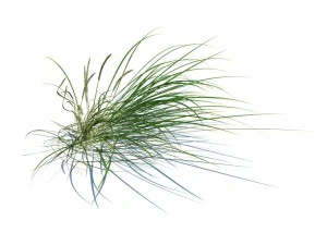 nature collection v2 3D Model