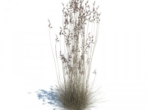 nature collection v2 3D Model
