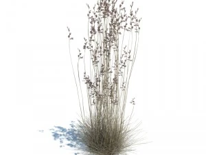 nature collection v2 3D Model