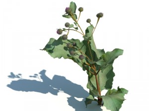 nature collection v2 3D Model