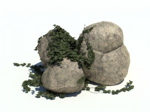 nature collection v2 3D Model