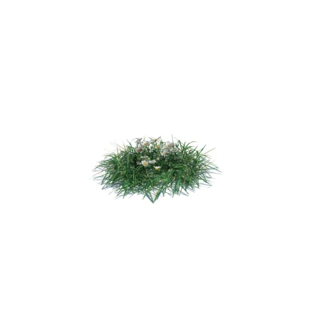 simple grass 3D 模型 .c4d .max .obj .3ds .fbx .stl .blend