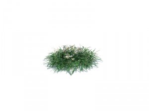 simple grass Modelo 3D