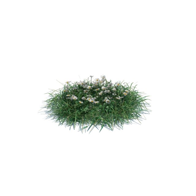 simple grass 3D Model .c4d .max .obj .3ds .fbx .stl .blend 