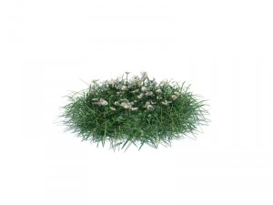 simple grass 3D Model
