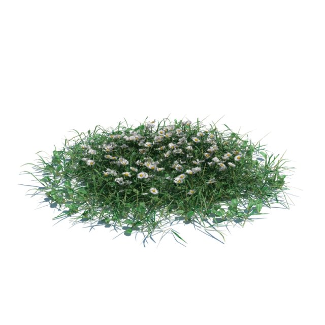 simple grass 3Dモデル .c4d .max .obj .3ds .fbx .stl .blend