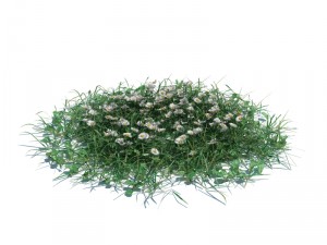 simple grass Modèle 3D