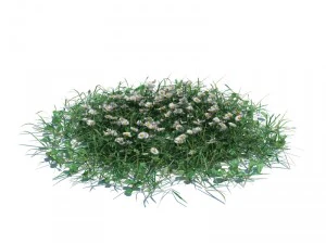 simple grass 3D Model