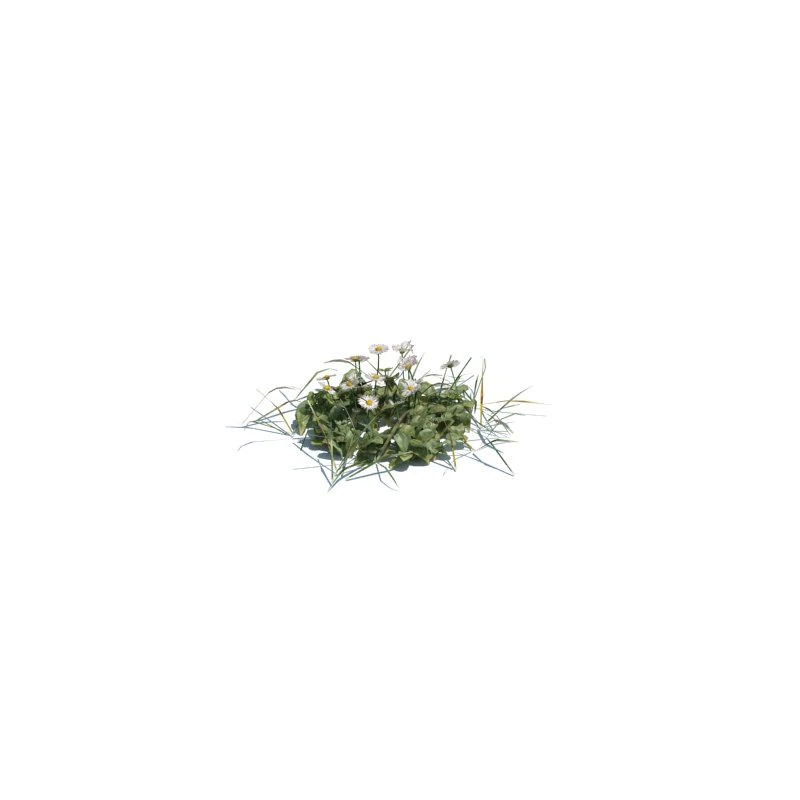 simple grass 3D Model .c4d .max .obj .3ds .fbx .stl .blend