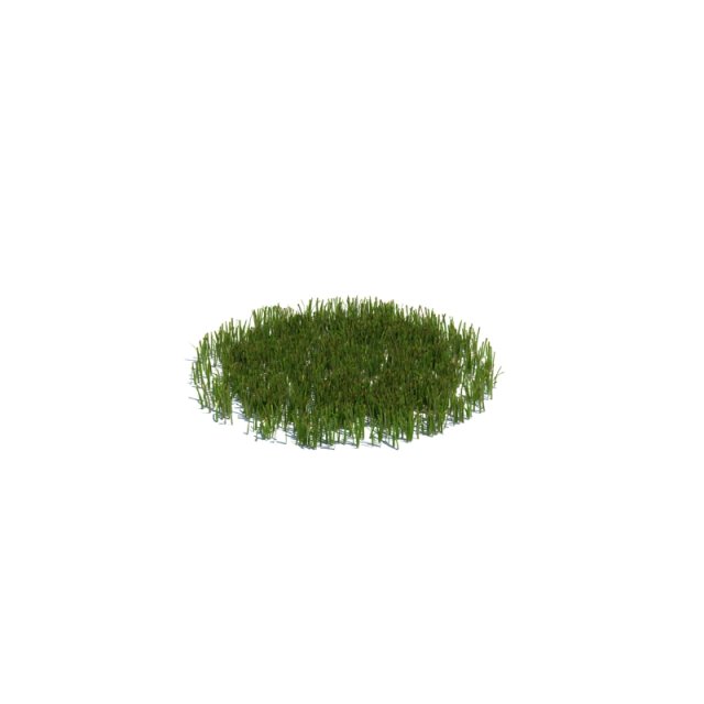 simple grass Modèle 3D .c4d .max .obj .3ds .fbx .stl .blend 