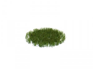 simple grass Modèle 3D